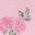 Color Swatch - Pink