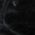 Color Swatch - Black