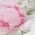 Color Swatch - Pink Floral