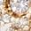 Color Swatch - Gold