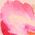 Color Swatch - Floral