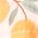 Color Swatch - Orange