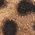 Color Swatch - Brown