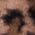 Color Swatch - Brown