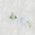 Color Swatch - White