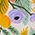 Color Swatch - Garden Party
