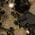 Color Swatch - Black