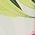 Color Swatch - White