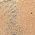 Color Swatch - Gold