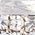 Color Swatch - Silver