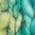 Color Swatch - Green