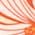 Color Swatch - Orange