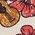 Color Swatch - Floral