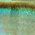 Color Swatch - Green