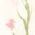 Color Swatch - Floral
