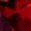 Color Swatch - Red