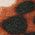 Color Swatch - Brown