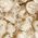 Color Swatch - Ivory