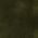 Color Swatch - Olive