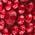 Color Swatch - Red