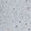 Color Swatch - White