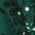 Color Swatch - Green