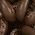 Color Swatch - Brown
