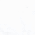 Color Swatch - White