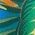 Color Swatch - Multi/Misc