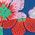 Color Swatch - Floral