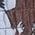 Color Swatch - Brown