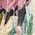 Color Swatch - Floral