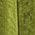 Color Swatch - Green