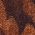 Color Swatch - Brown