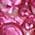 Color Swatch - Pink