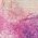 Color Swatch - Floral