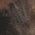 Color Swatch - Brown