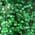 Color Swatch - Green