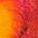Color Swatch - Floral