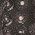 Color Swatch - Black
