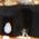 Color Swatch - Black
