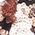 Color Swatch - Floral