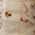 Color Swatch - Ivory