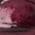 Color Swatch - Oxblood