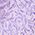 Color Swatch - Purple Print
