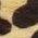 Color Swatch - Animal