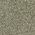 Color Swatch - LSU Tigers Burnt Olive