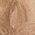 Color Swatch - Tan