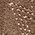 Color Swatch - Brown