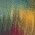 Color Swatch - Multi/Misc